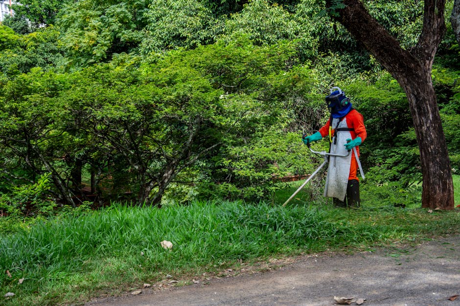 A gardener in protective gear trims the grass in a lush park in Londrina, Brazil.